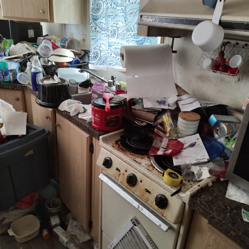 Hoarder clean out near me