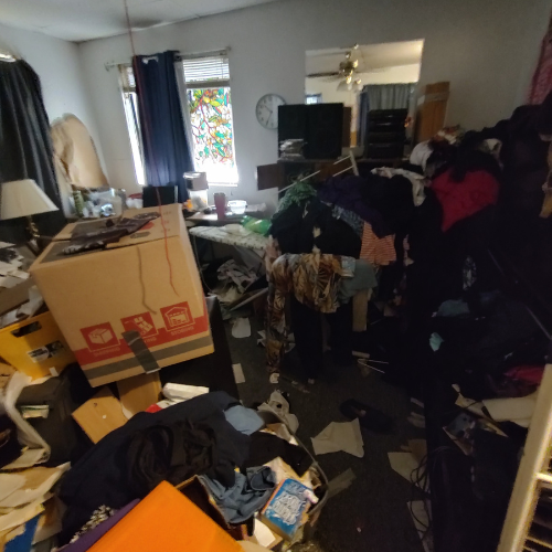 Hoarder Clean out